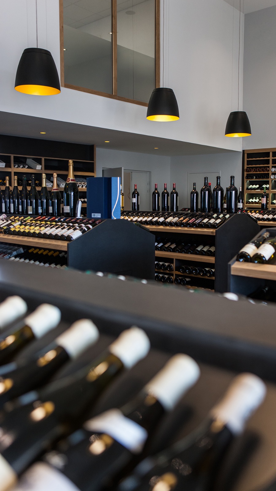 SALT Suspension simple et discrète noire avec intérieur du diffuseur doré