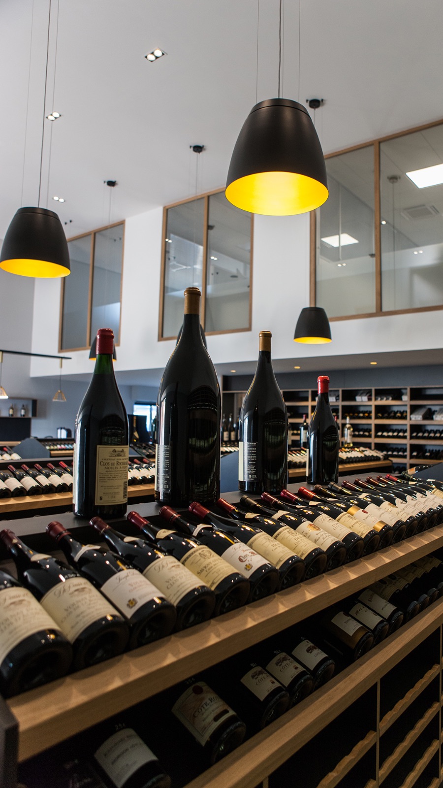 SALT Suspension simple et discrète noire avec intérieur du diffuseur doré